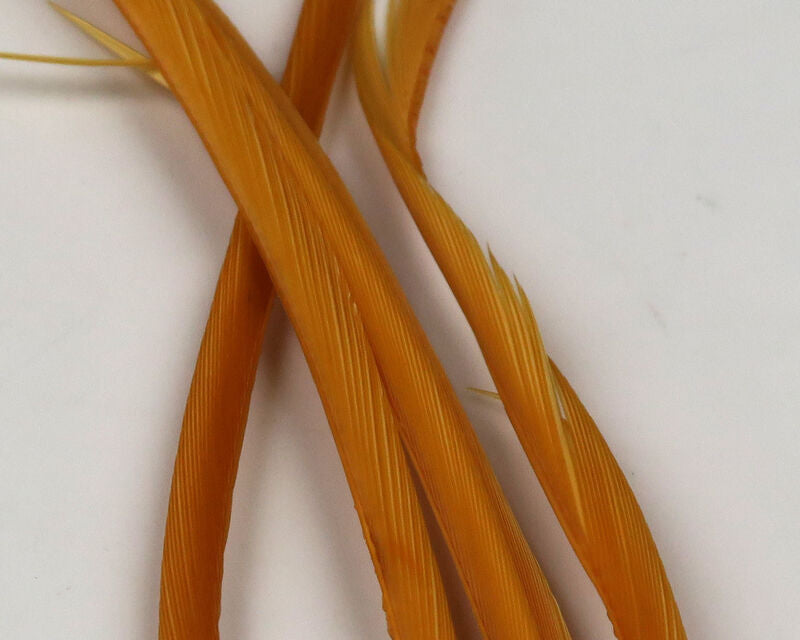 Hareline Dubbin Stripped Goose Biot