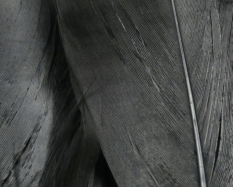 Select Goose Shoulder