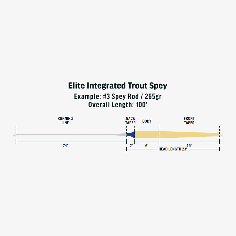 Load image into Gallery viewer, RIO Products Integrated Trout Spey
