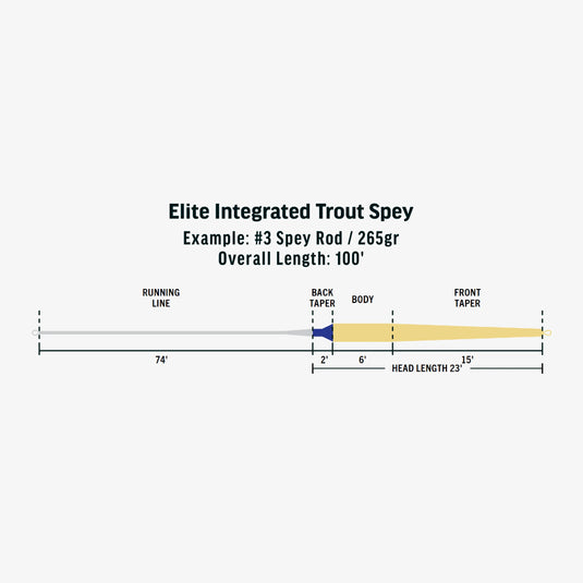 RIO Products Integrated Trout Spey