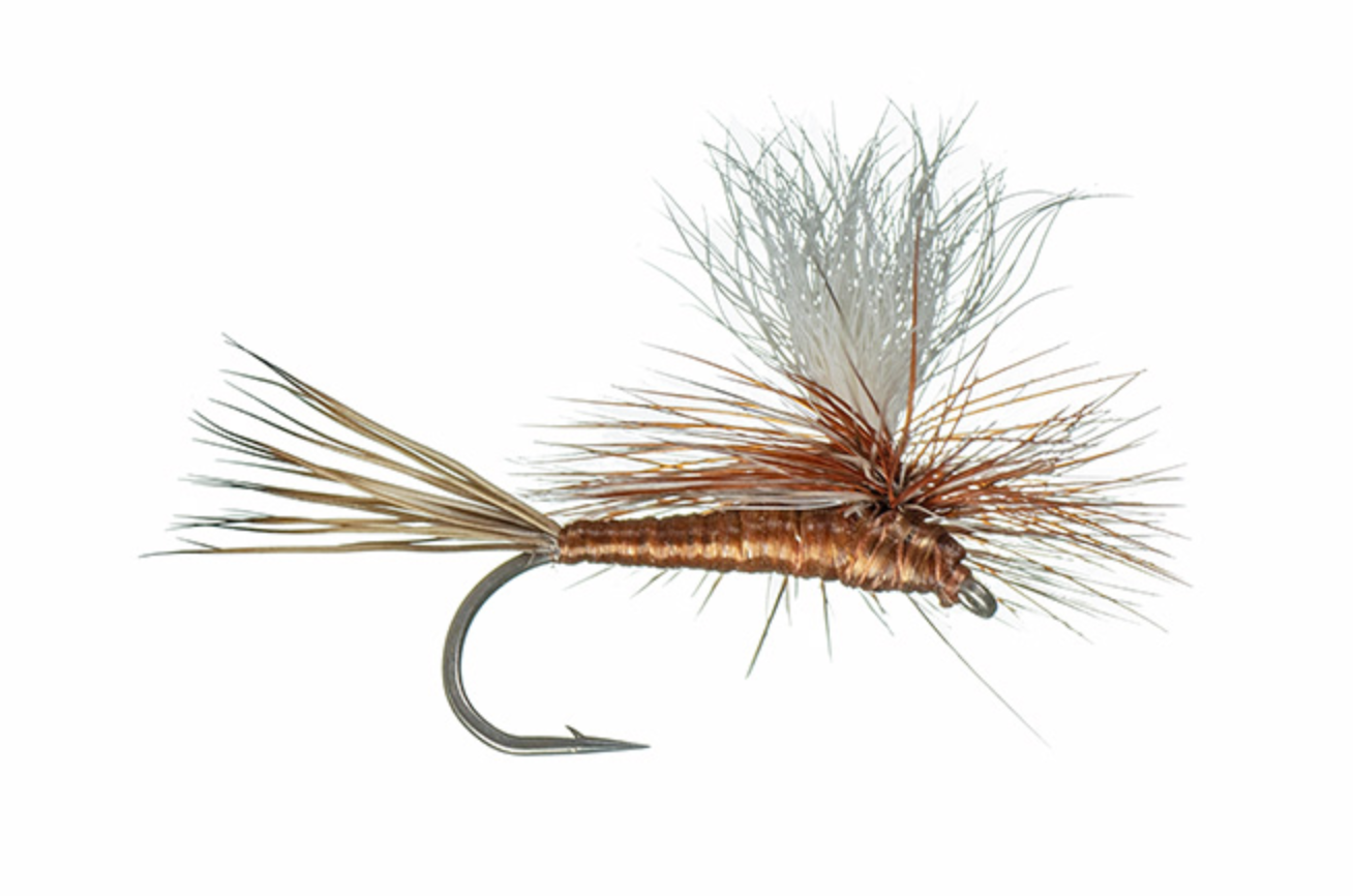 Carlson's Copper Haze