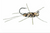 Tungsten Jig Girdle Bug