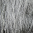 Hareline Deer Belly Hair Dyed From White - SALE