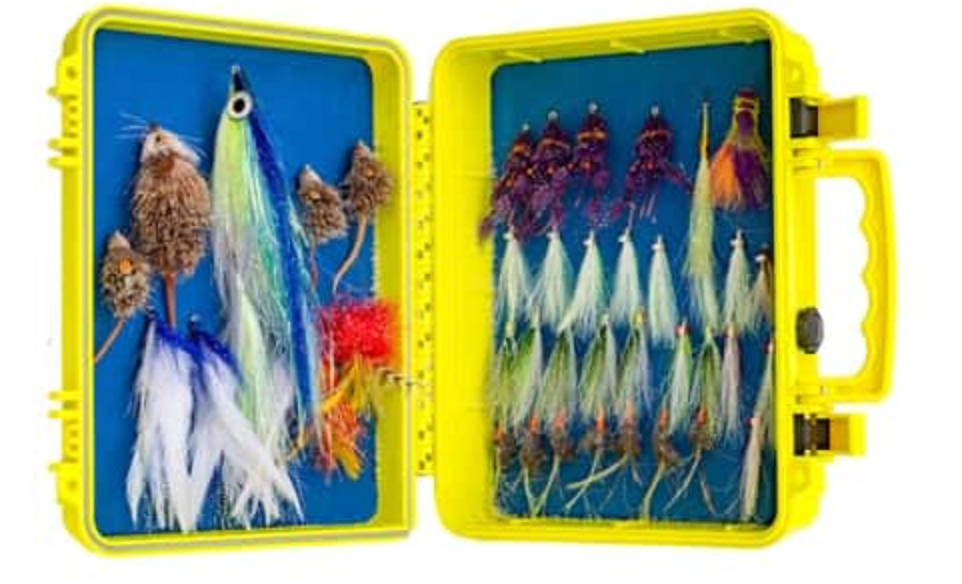 Cliff's The Justin Case