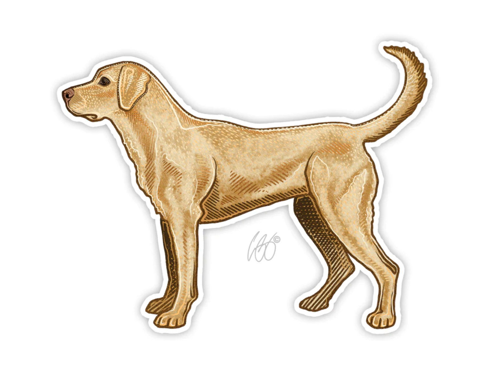 Casey Underwood Yellow Lab Decal