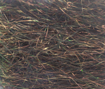 Hareline 8-Inch Ice Wing Fiber