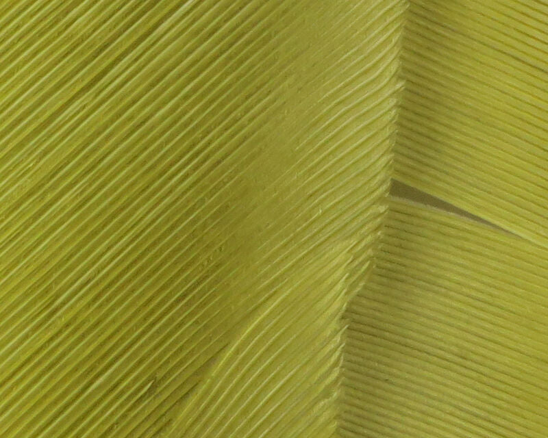 Hareline Turkey Biot Quills