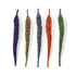 Mangum's Variegated Mini Dragon Tail UV2 Treated*