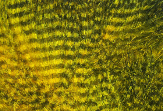 Hareline Dubbin Barred Marabou Feathers