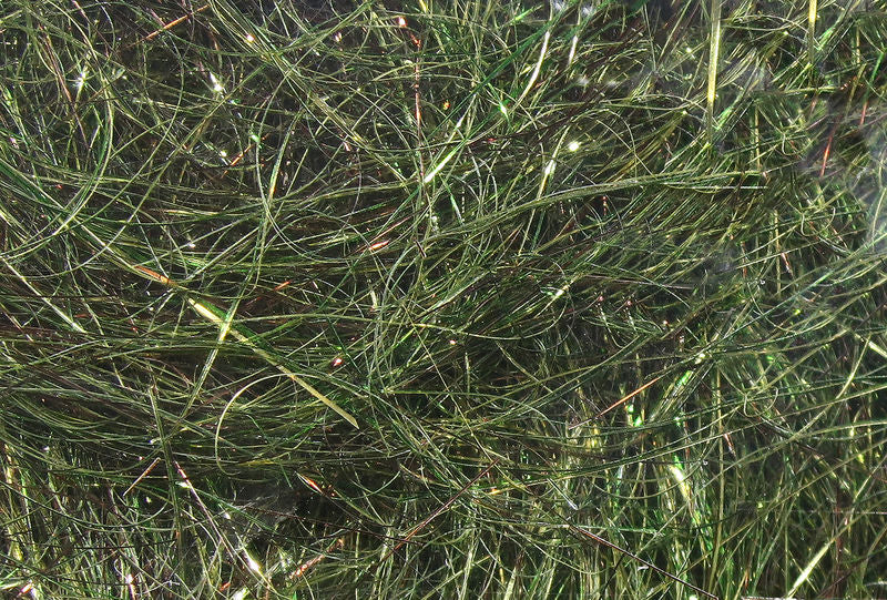 Hareline 8-Inch Ice Wing Fiber