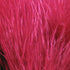 Hareline Strung Marabou Blood Quills