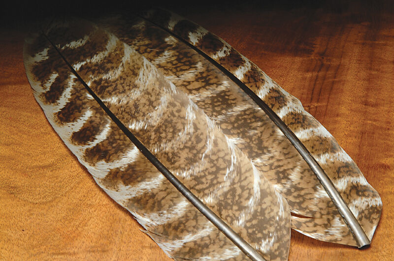 Hareline Dubbin Ozark Oak Mottled Turkey Quills