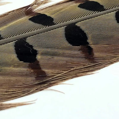 Hareline Ringneck Pheasant Tail Feathers (Pair)