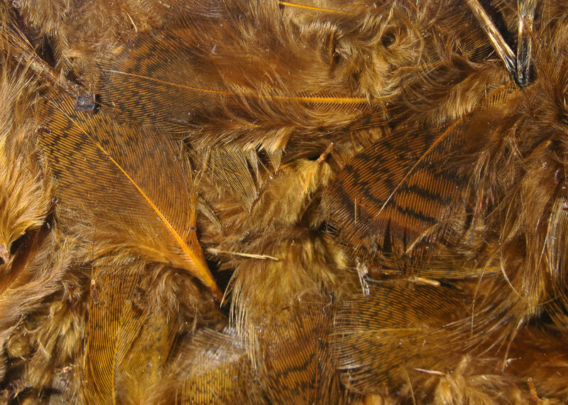 Hareline Dubbin Premium Hungarian Partridge Feathers