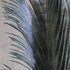 Hareline Ringneck Pheasant Tail Feathers (Pair)