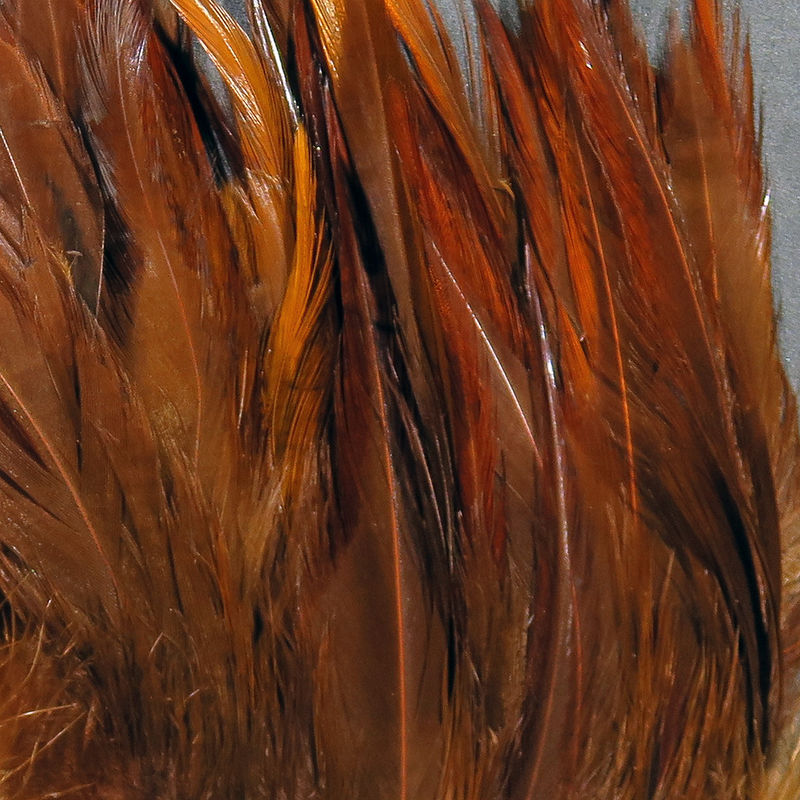 Load image into Gallery viewer, Hareline Strung Chinese Saddle Hackle 5-7&quot;
