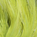 Hareline Strung Chinese Saddle Hackle 5-7"