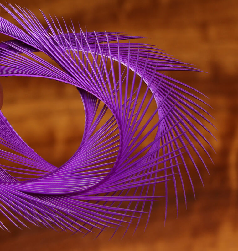 Hareline Dubbin Stripped Goose Biot