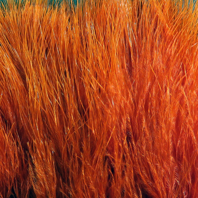 Hareline Strung Marabou Blood Quills